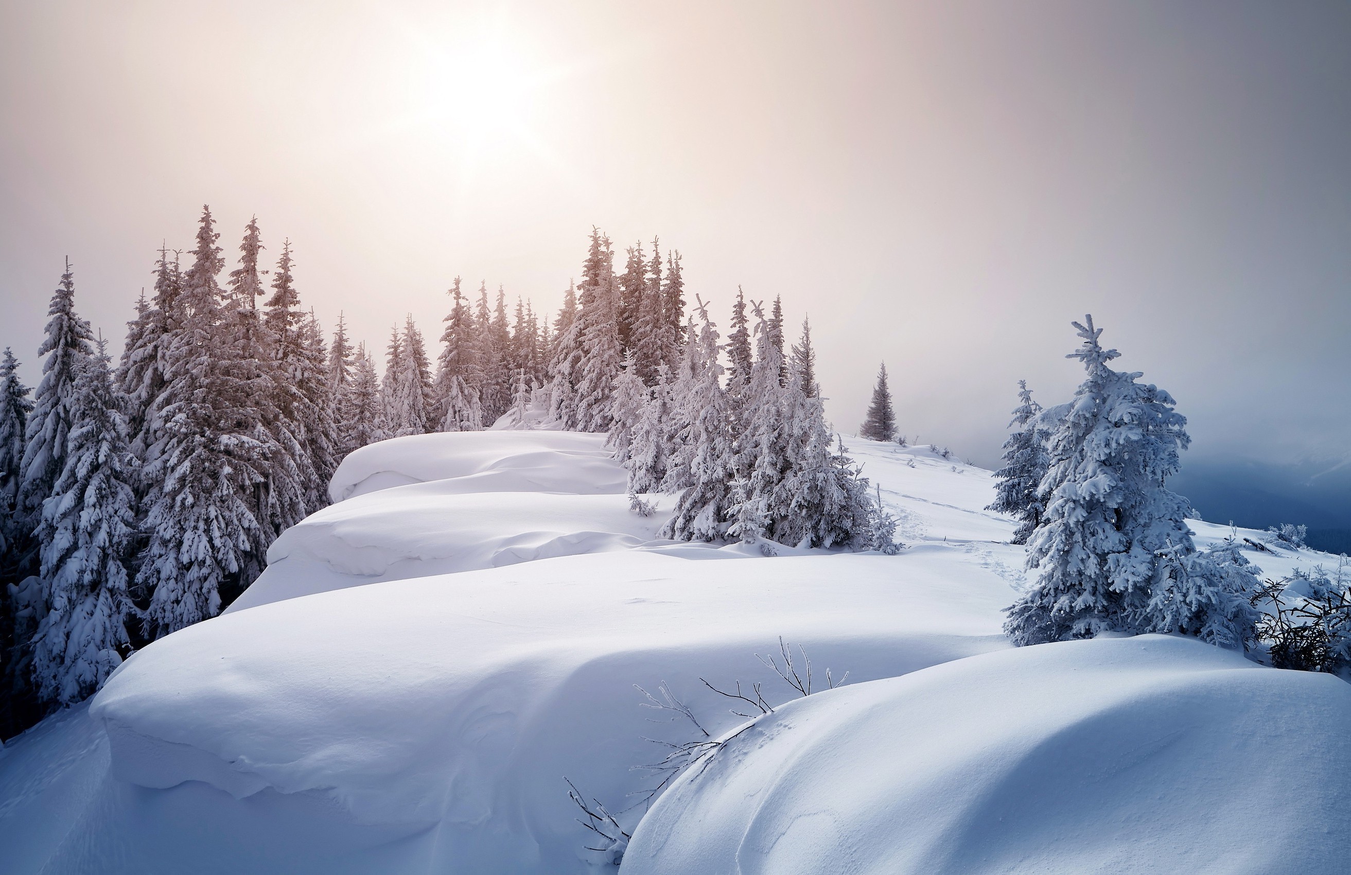 雪停以前剧情海报